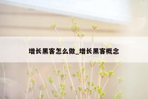 增长黑客怎么做_增长黑客概念