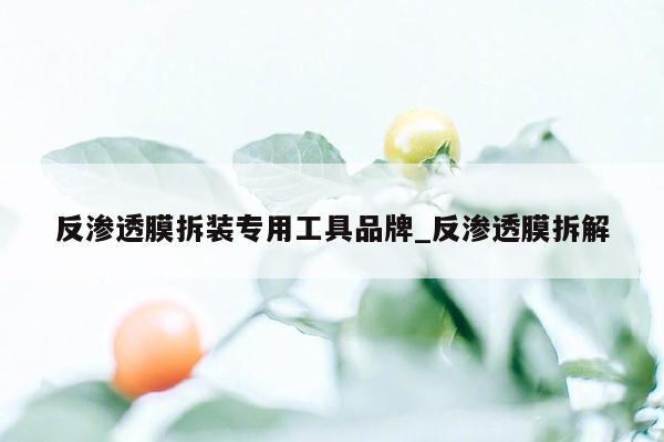 反渗透膜拆装专用工具品牌_反渗透膜拆解