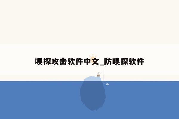 嗅探攻击软件中文_防嗅探软件