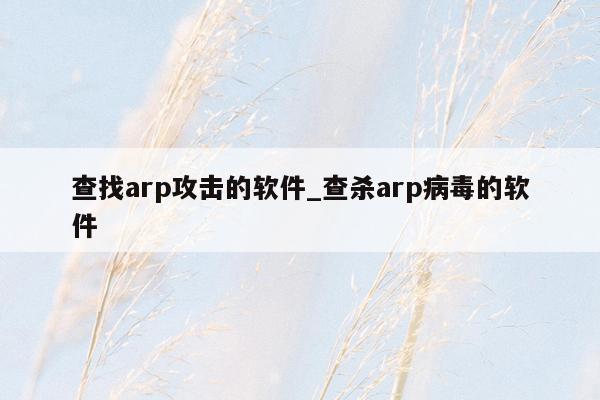 查找arp攻击的软件_查杀arp病毒的软件