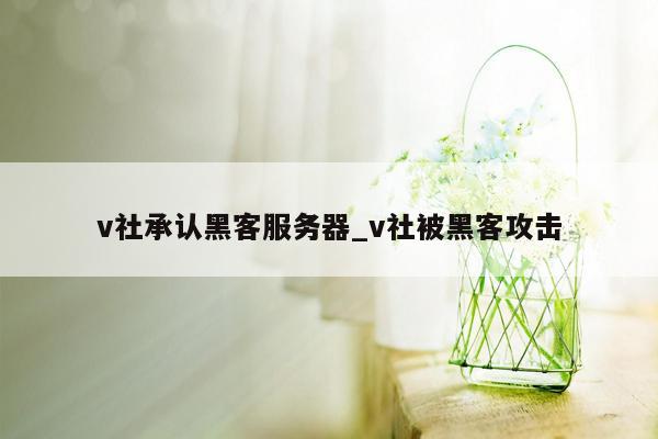 v社承认黑客服务器_v社被黑客攻击