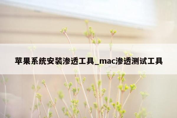 苹果系统安装渗透工具_mac渗透测试工具