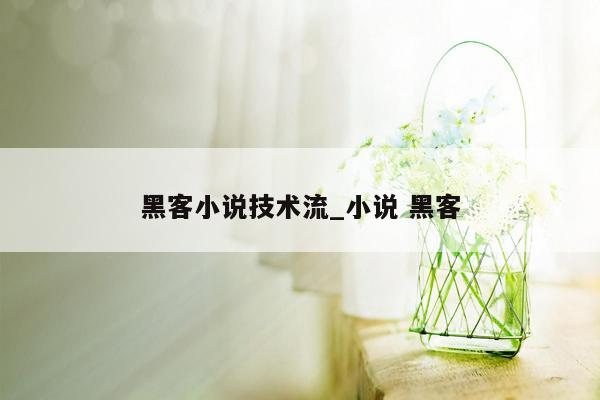 黑客小说技术流_小说 黑客