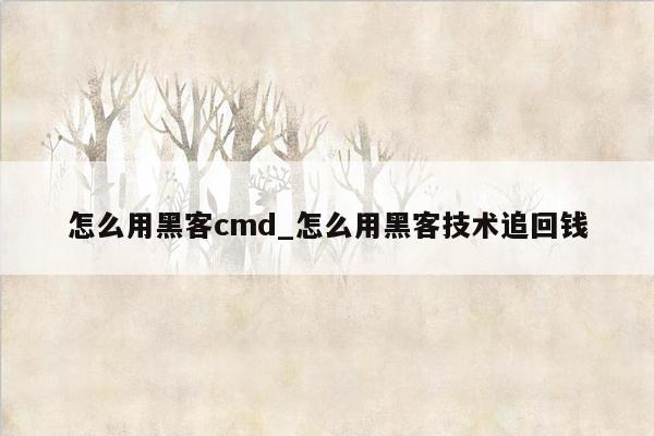 怎么用黑客cmd_怎么用黑客技术追回钱