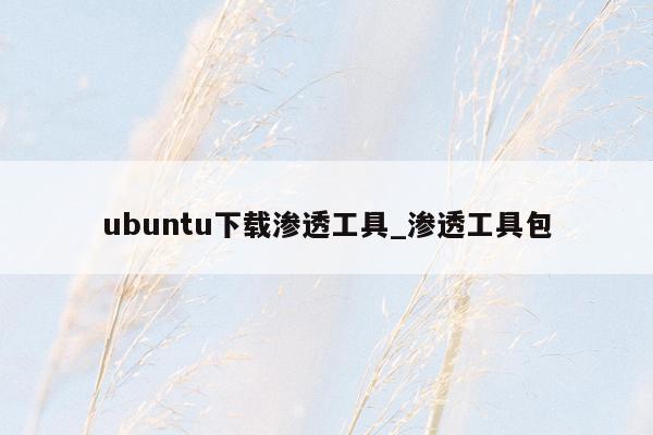 ubuntu下载渗透工具_渗透工具包