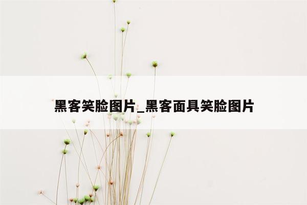 黑客笑脸图片_黑客面具笑脸图片