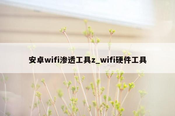 安卓wifi渗透工具z_wifi硬件工具