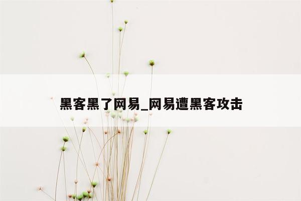 黑客黑了网易_网易遭黑客攻击