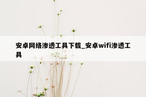 安卓网络渗透工具下载_安卓wifi渗透工具