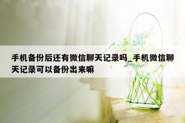 手机备份后还有微信聊天记录吗_手机微信聊天记录可以备份出来嘛