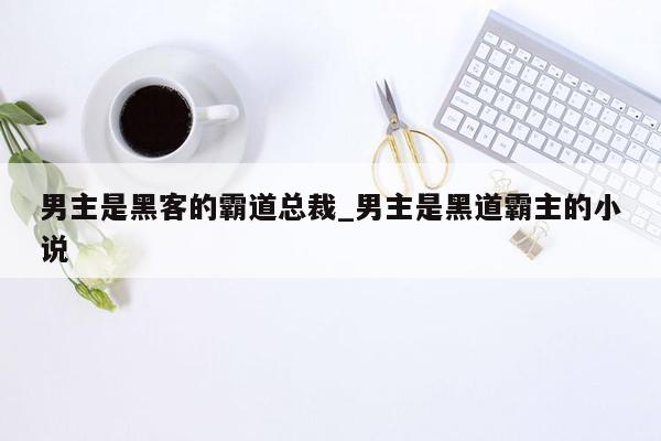 男主是黑客的霸道总裁_男主是黑道霸主的小说