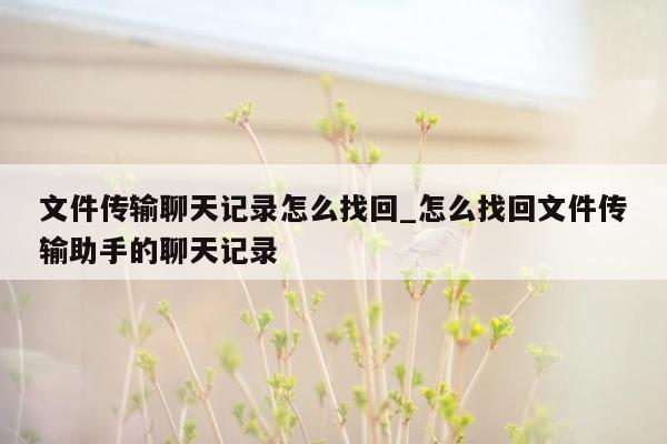 文件传输聊天记录怎么找回_怎么找回文件传输助手的聊天记录