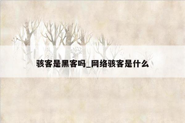 骇客是黑客吗_网络骇客是什么