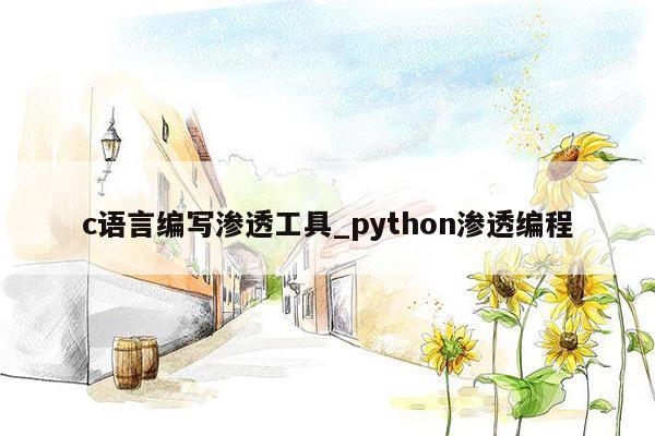 c语言编写渗透工具_python渗透编程