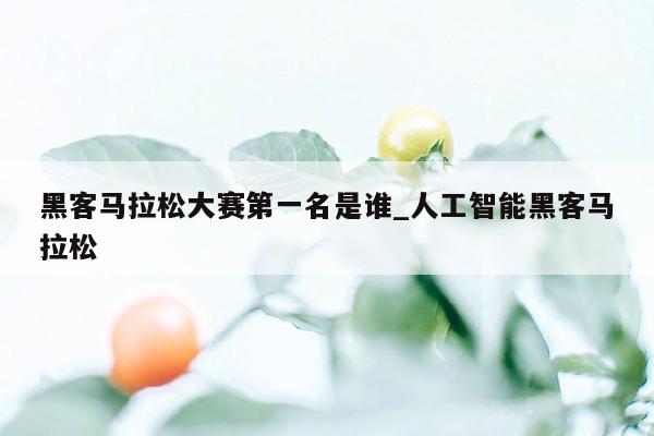 黑客马拉松大赛第一名是谁_人工智能黑客马拉松