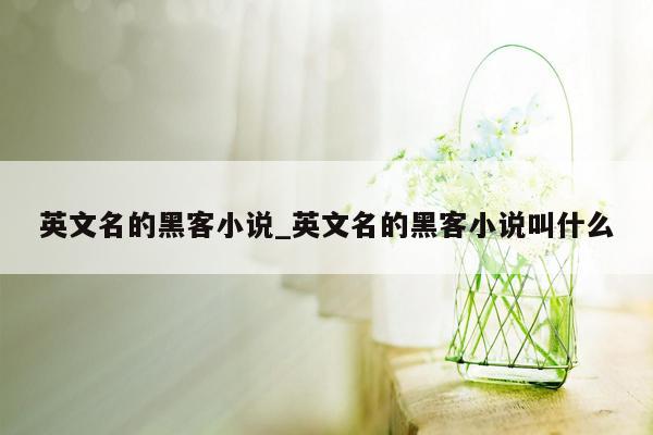 英文名的黑客小说_英文名的黑客小说叫什么