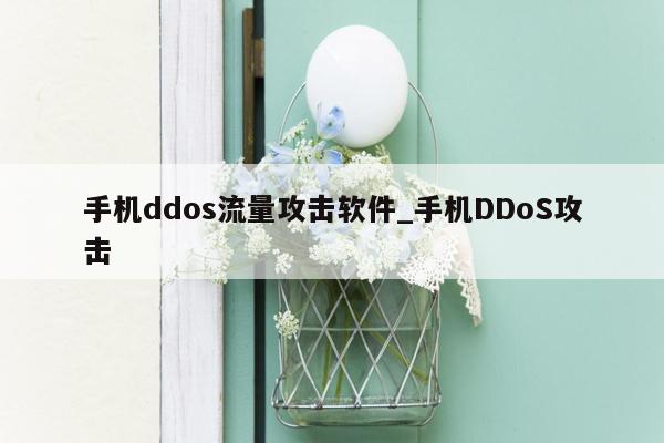 手机ddos流量攻击软件_手机DDoS攻击