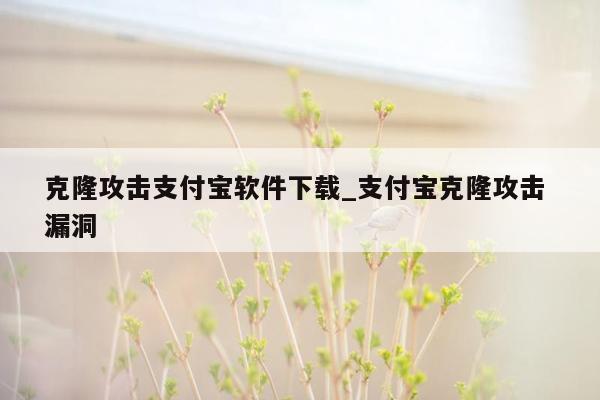 克隆攻击支付宝软件下载_支付宝克隆攻击 漏洞