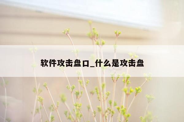 软件攻击盘口_什么是攻击盘