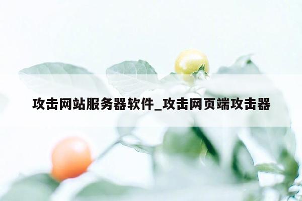 攻击网站服务器软件_攻击网页端攻击器