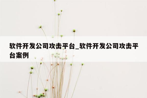 软件开发公司攻击平台_软件开发公司攻击平台案例