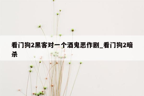 看门狗2黑客对一个酒鬼恶作剧_看门狗2暗杀