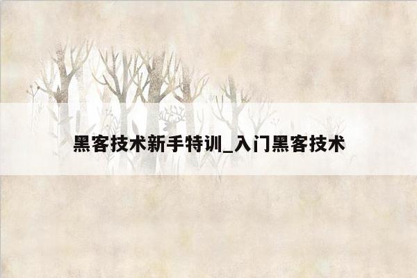 黑客技术新手特训_入门黑客技术