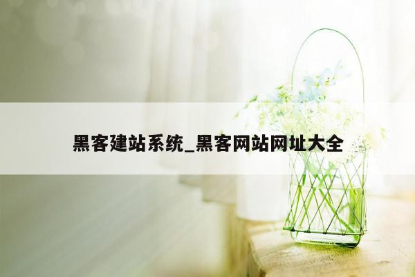 黑客建站系统_黑客网站网址大全