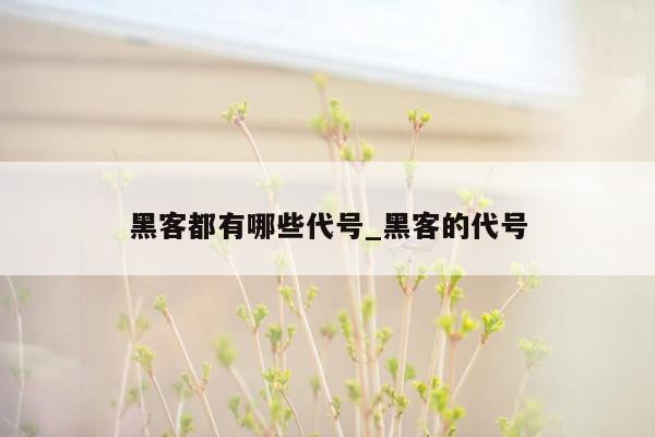 黑客都有哪些代号_黑客的代号