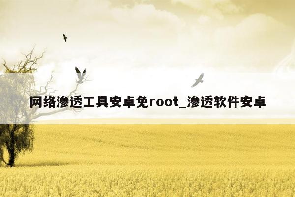 网络渗透工具安卓免root_渗透软件安卓