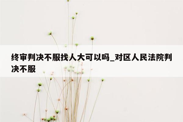 终审判决不服找人大可以吗_对区人民法院判决不服