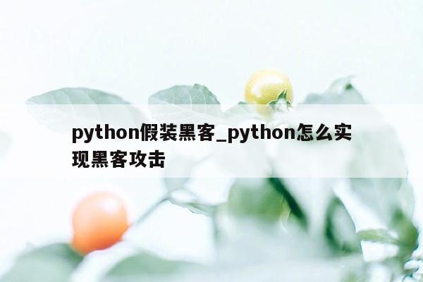 python假装黑客_python怎么实现黑客攻击