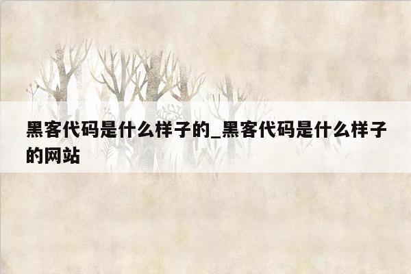 黑客代码是什么样子的_黑客代码是什么样子的网站