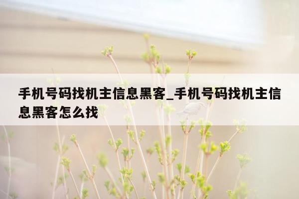 手机号码找机主信息黑客_手机号码找机主信息黑客怎么找