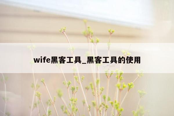 wife黑客工具_黑客工具的使用