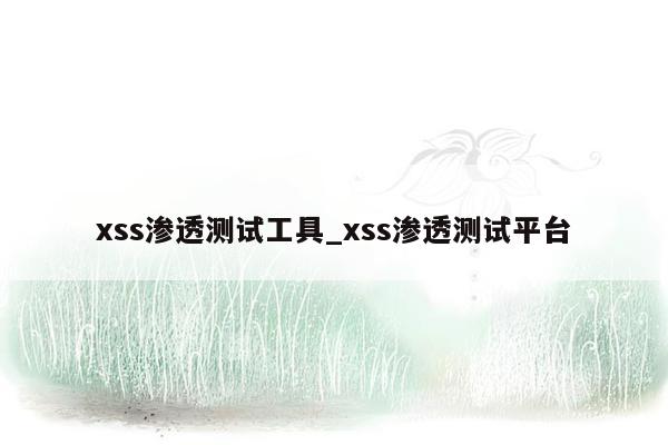 xss渗透测试工具_xss渗透测试平台