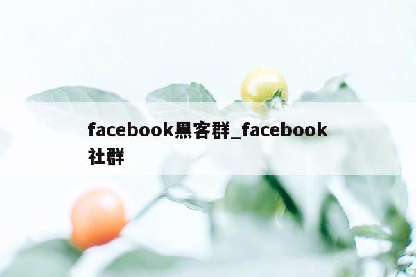 facebook黑客群_facebook社群