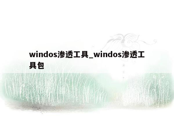 windos渗透工具_windos渗透工具包