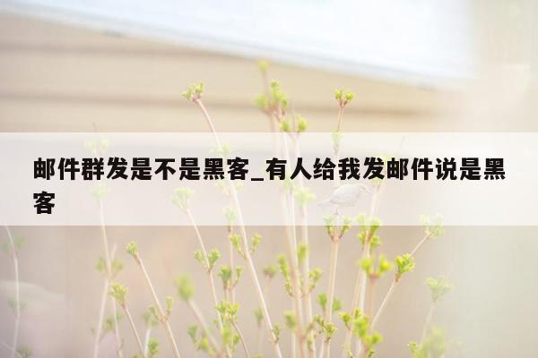 邮件群发是不是黑客_有人给我发邮件说是黑客