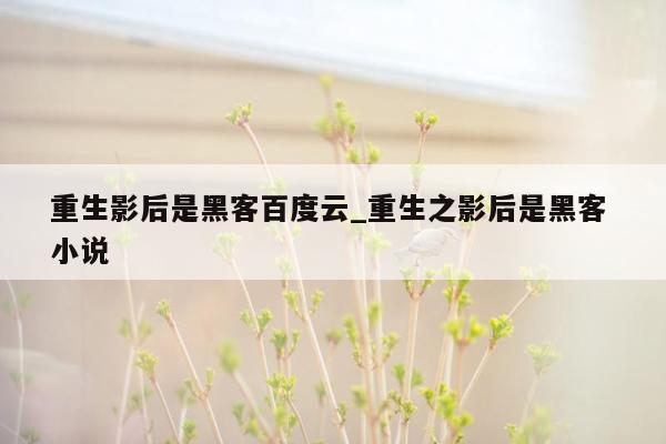 重生影后是黑客百度云_重生之影后是黑客 小说