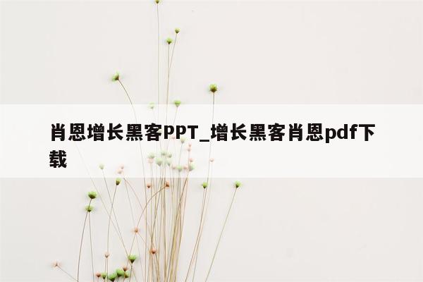 肖恩增长黑客PPT_增长黑客肖恩pdf下载