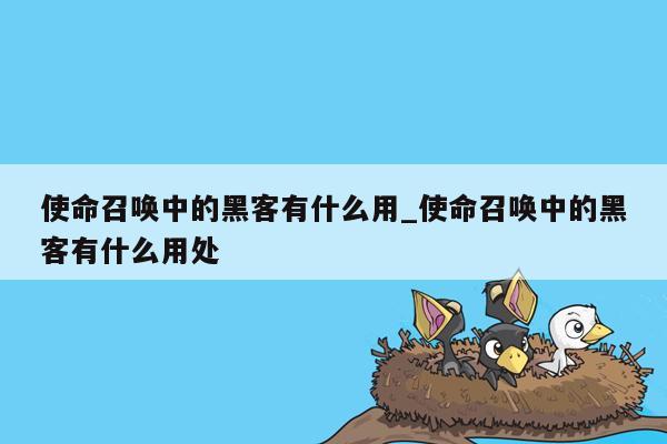 使命召唤中的黑客有什么用_使命召唤中的黑客有什么用处