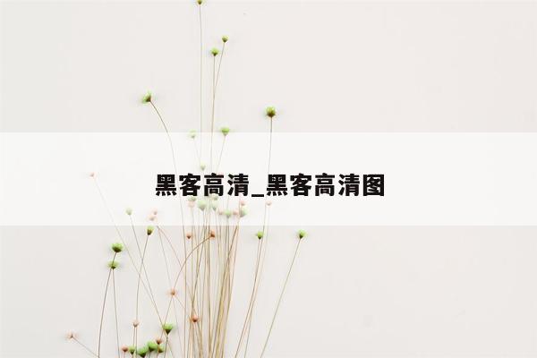 黑客高清_黑客高清图