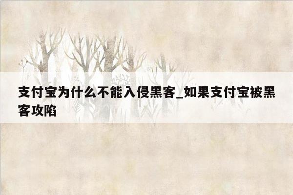 支付宝为什么不能入侵黑客_如果支付宝被黑客攻陷