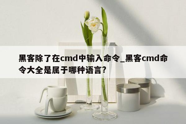 黑客除了在cmd中输入命令_黑客cmd命令大全是属于哪种语言?