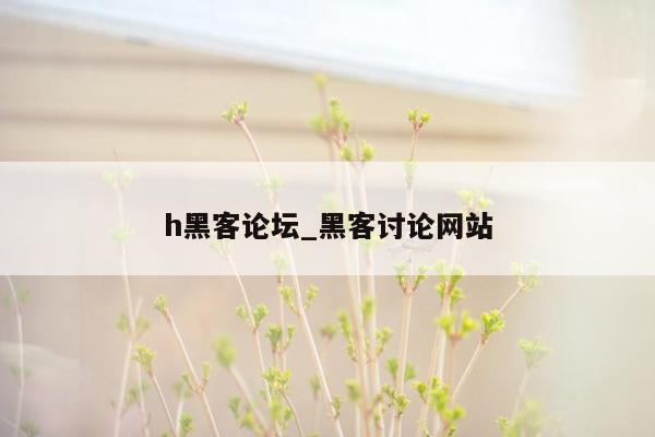 h黑客论坛_黑客讨论网站