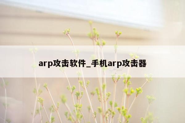 arp攻击软件_手机arp攻击器