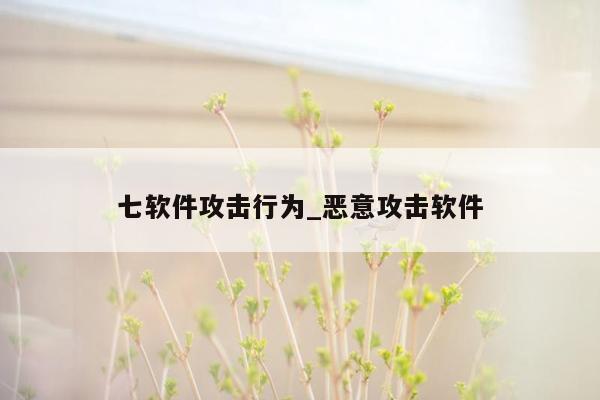 七软件攻击行为_恶意攻击软件