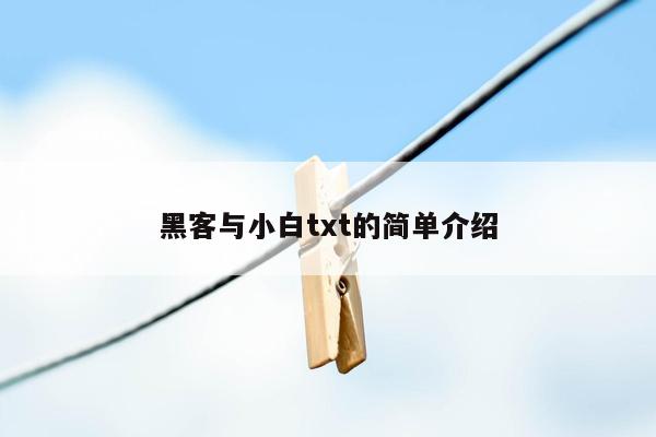 黑客与小白txt的简单介绍