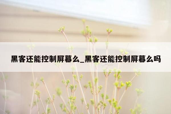 黑客还能控制屏幕么_黑客还能控制屏幕么吗